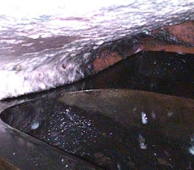 fiberscope inspections